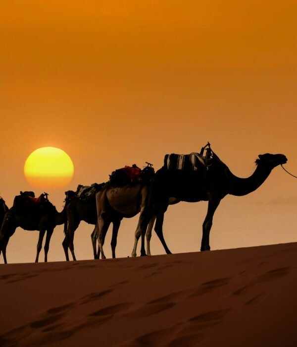 21 Day Morocco Tour From Casablanca