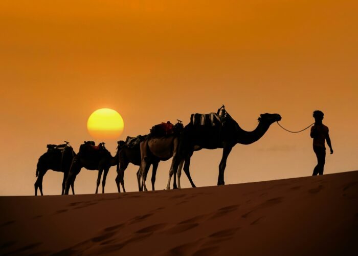21 Day Morocco Tour From Casablanca