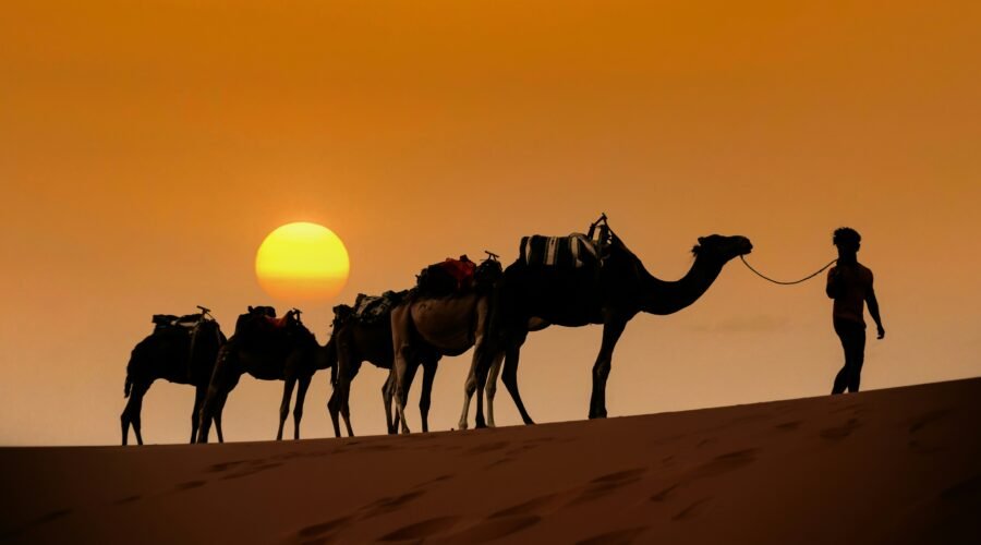 12 Days Morocco Tour from Fes
