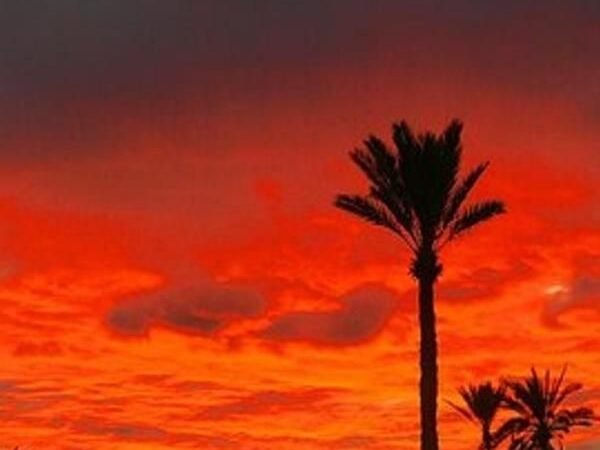 Best Shared 2 Days Desert Tour from Agadir to Zagora