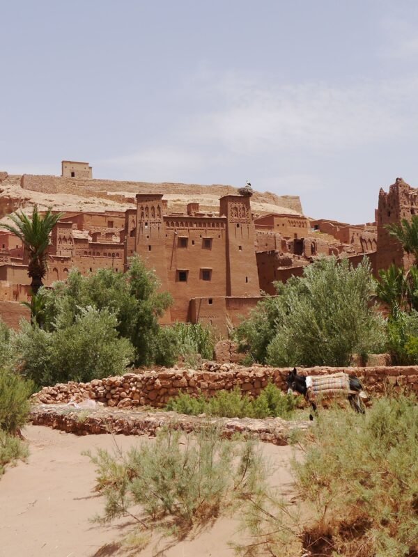 Kasbah Telouet & Ait Ben Haddou Day Trip from Marrakech