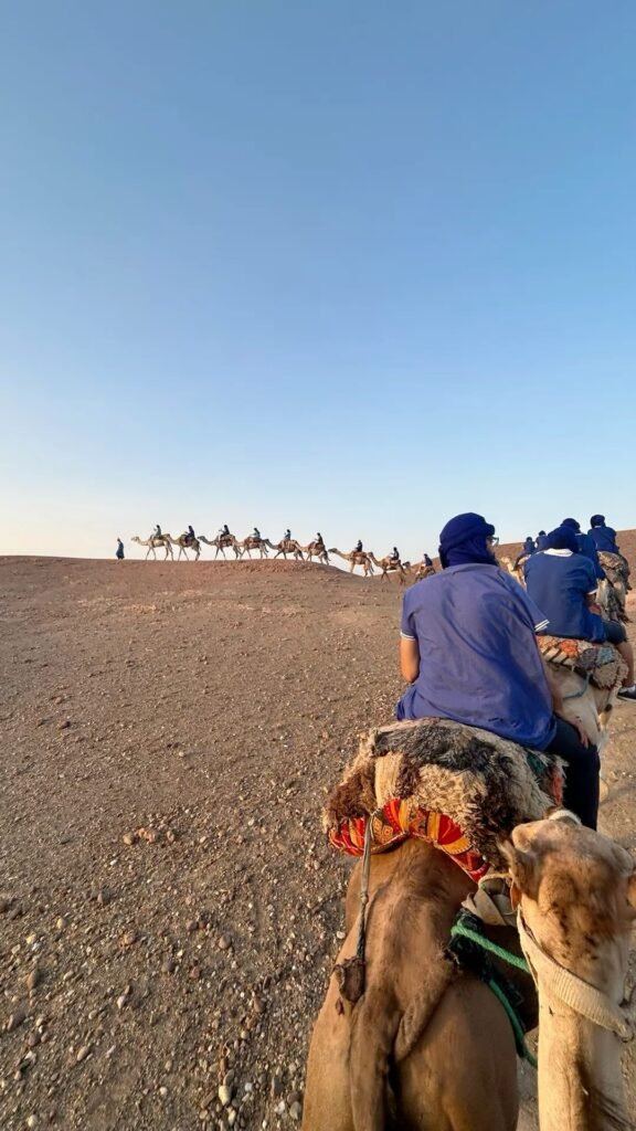 Agafay vs Merzouga vs Zagora: Best 1 Desert Near Marrakech 