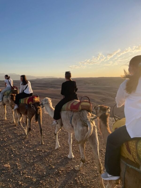 Marrakech Camel Ride in the Palm Grove