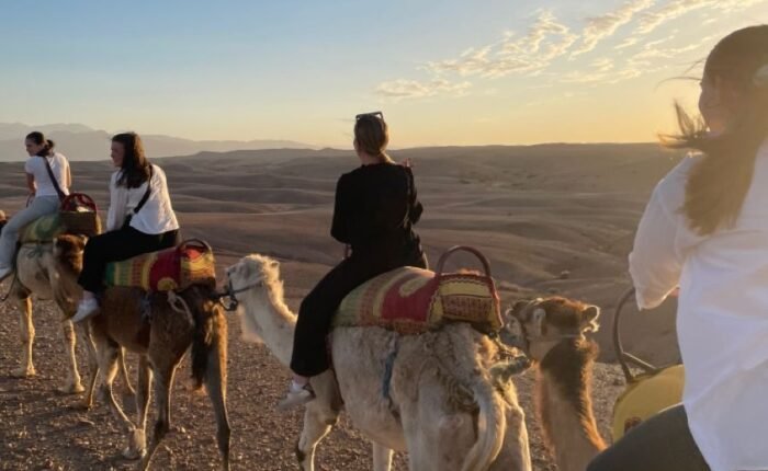 Marrakech Camel Ride in the Palm Grove