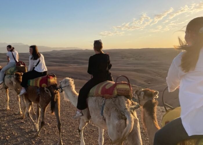 Marrakech Camel Ride in the Palm Grove