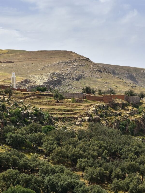 Valleys Asni Ouirgane Day Trip