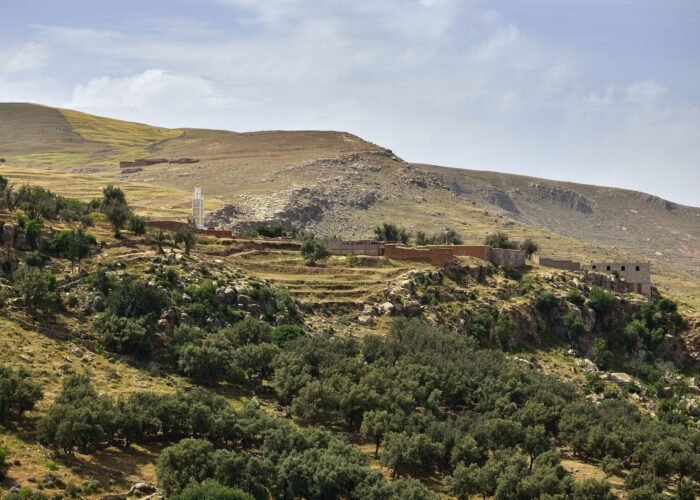 Valleys Asni Ouirgane Day Trip