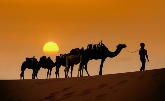 Shared 3 Day Desert Tour from Marrakech to Fes