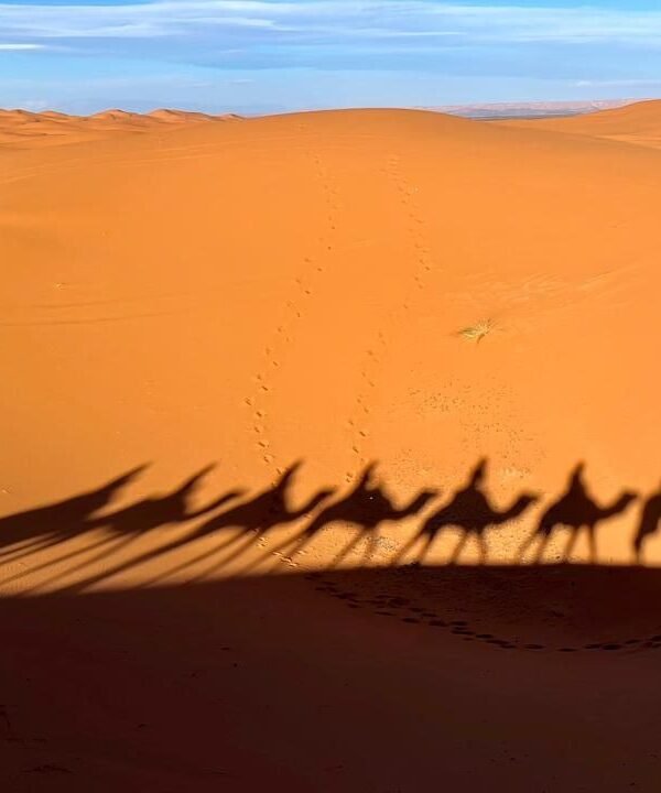 6 Days Desert Tour from Marrakech to Tangier