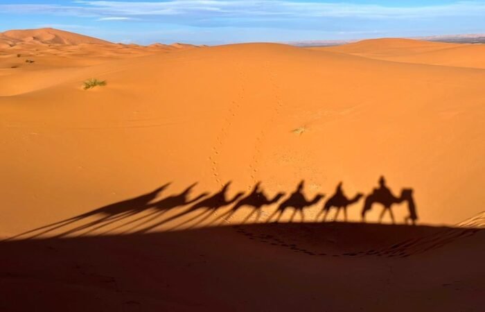 6 Days Desert Tour from Marrakech to Tangier