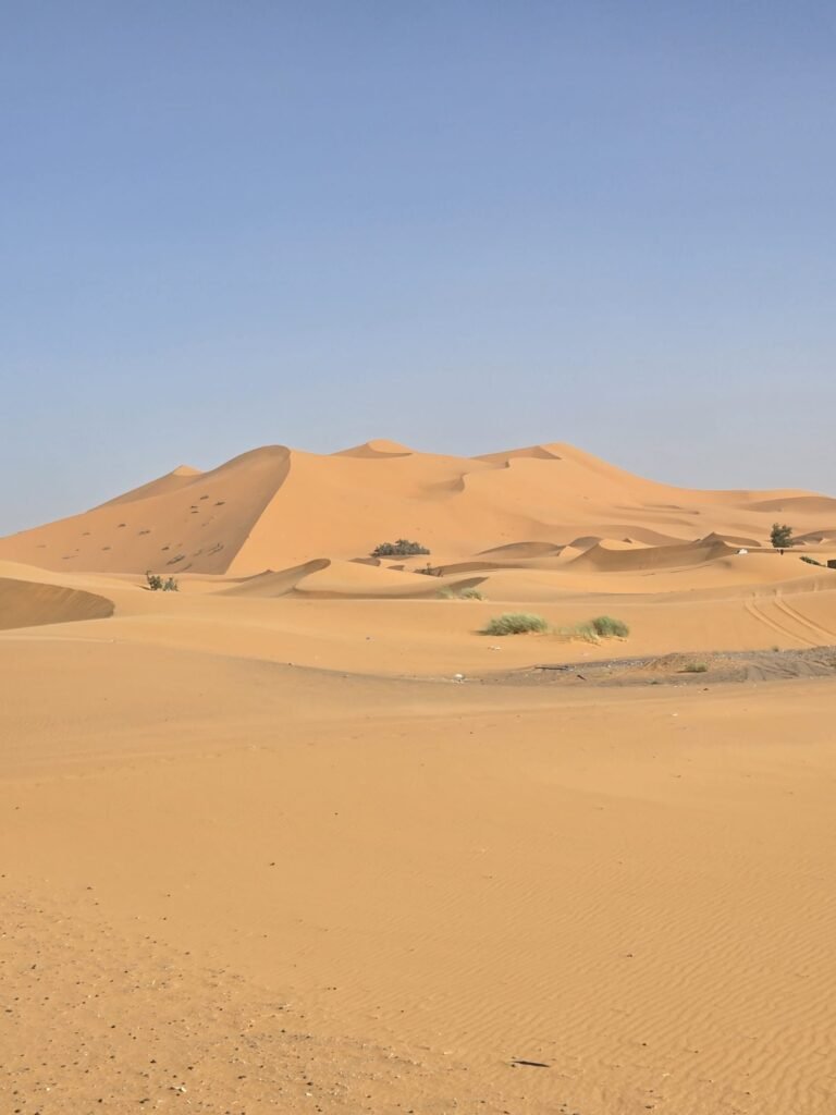 Sahara Discovery Tours