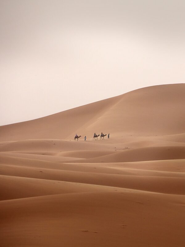 Sahara Discovery Tours