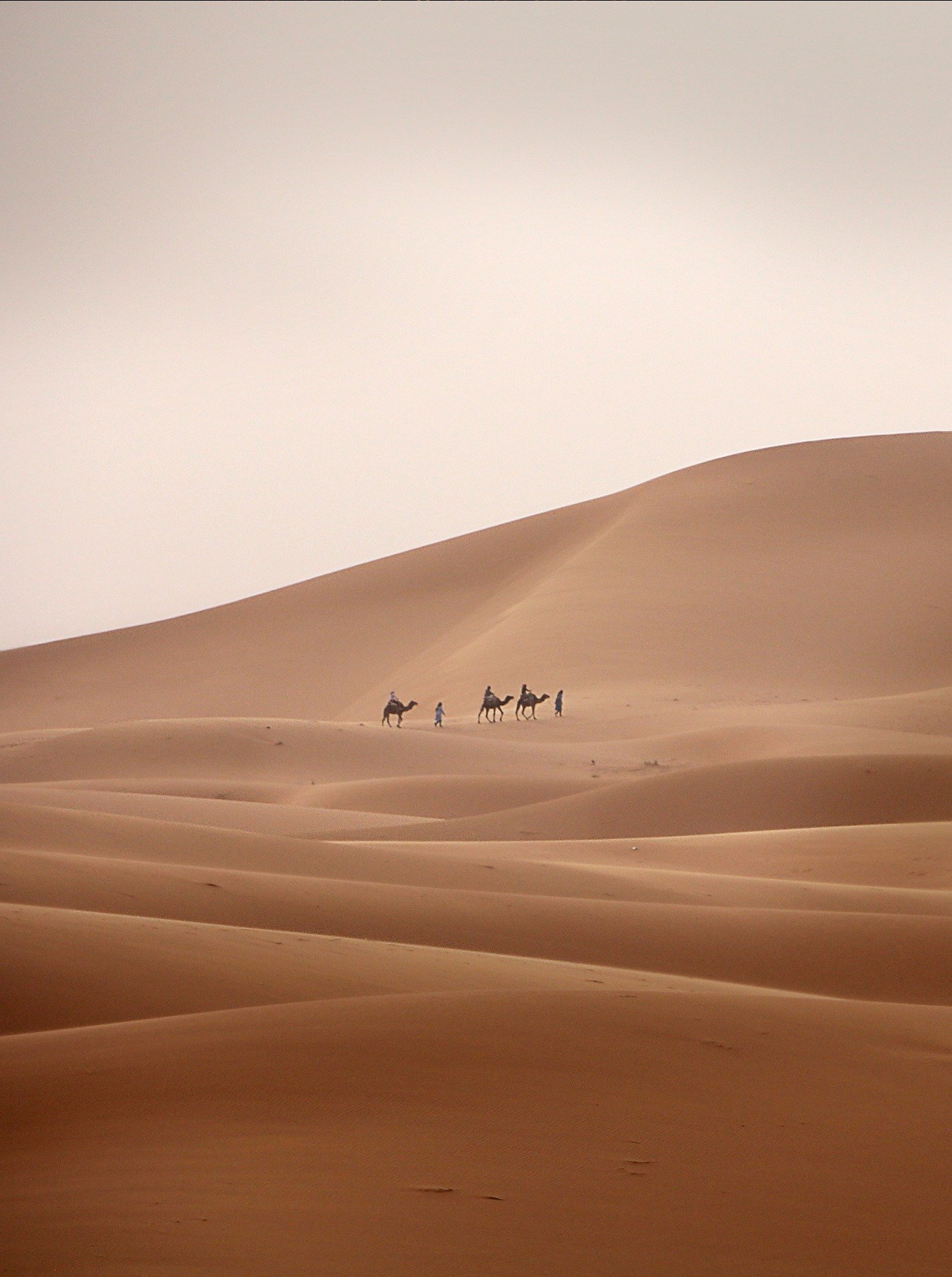 Sahara Discovery Tours
