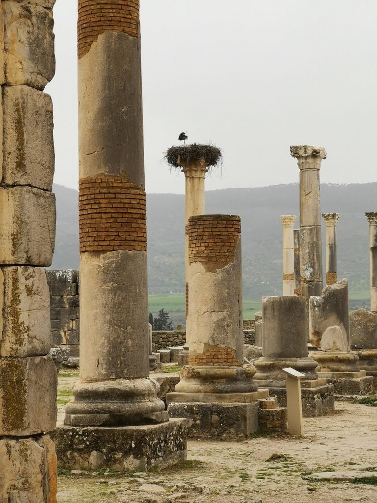 Best Roman Morocco History of Volubilis : 1st Roman ruins